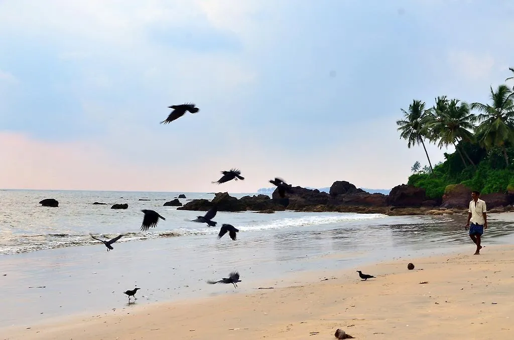 Ocean Green Kerala Holiday home Kannur 0*,  Hindistan