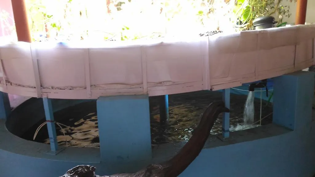 Ocean Green Kerala Holiday home Kannur