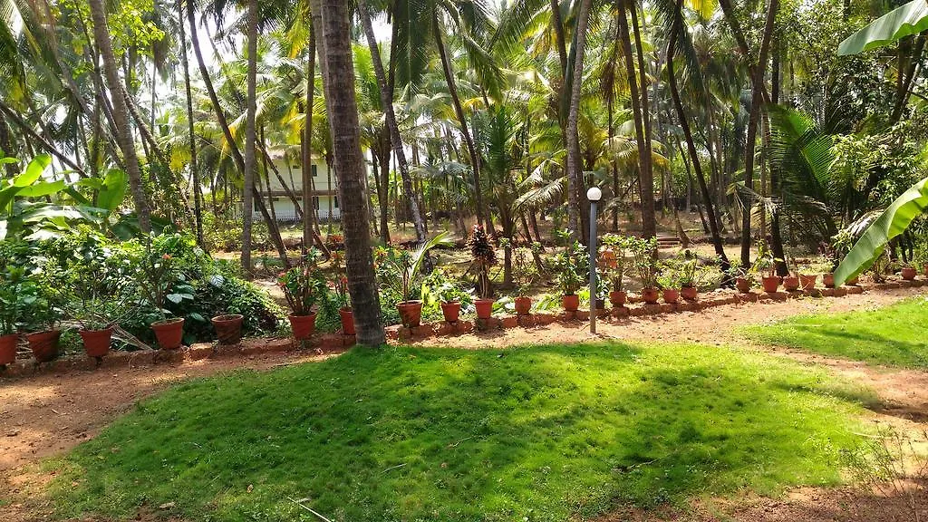 Ocean Green Kerala Holiday home Kannur Hindistan
