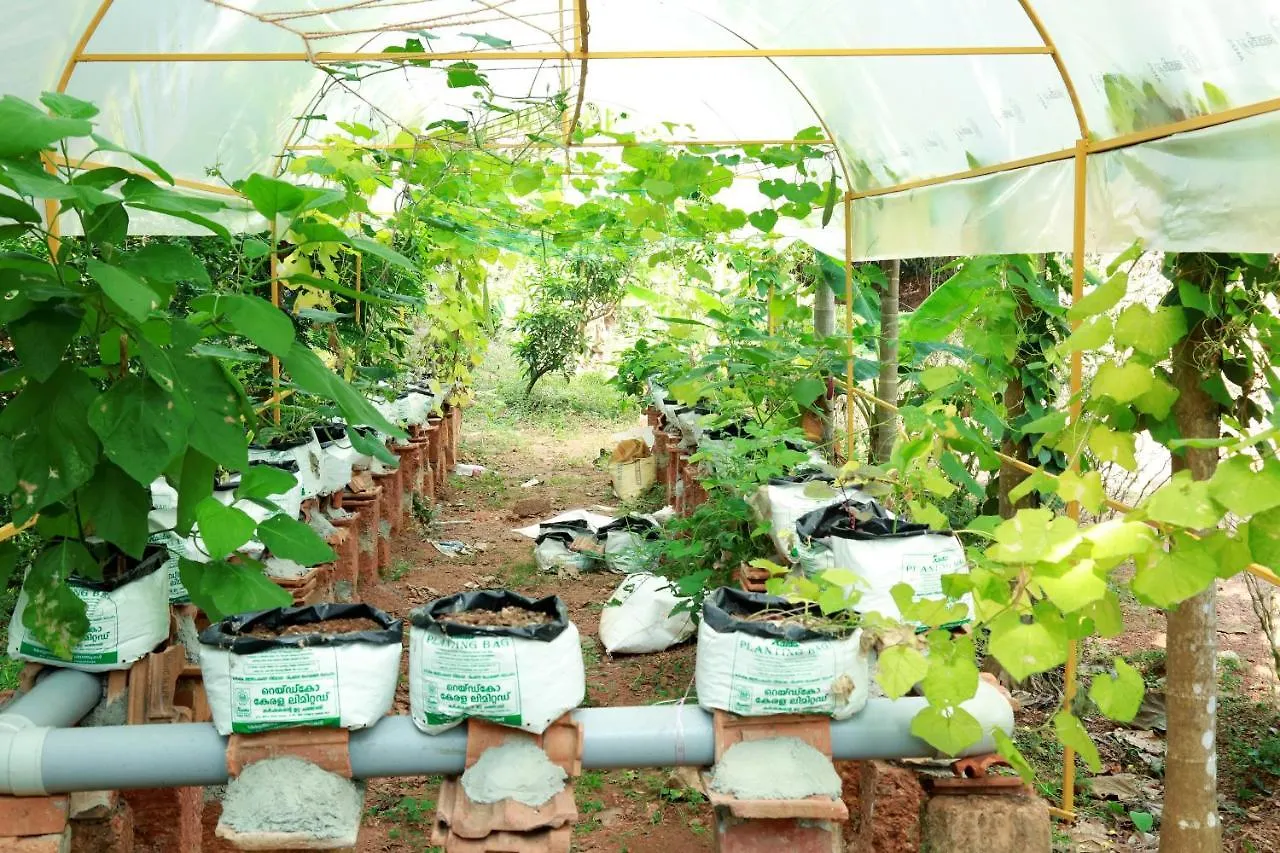 Ocean Green Kerala Holiday home Kannur Pansiyon