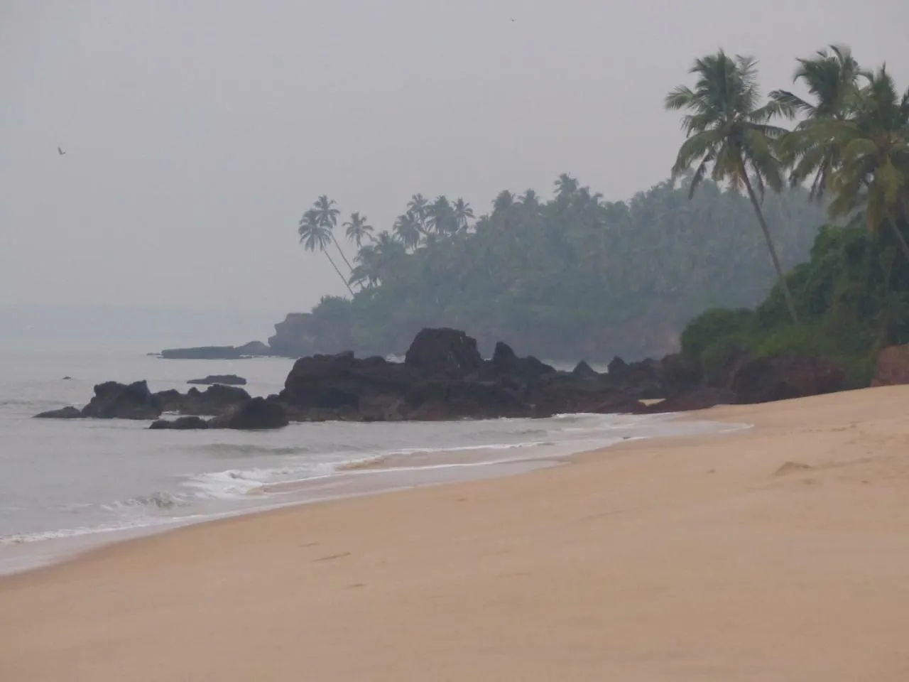 Ocean Green Kerala Kannur Homestay
