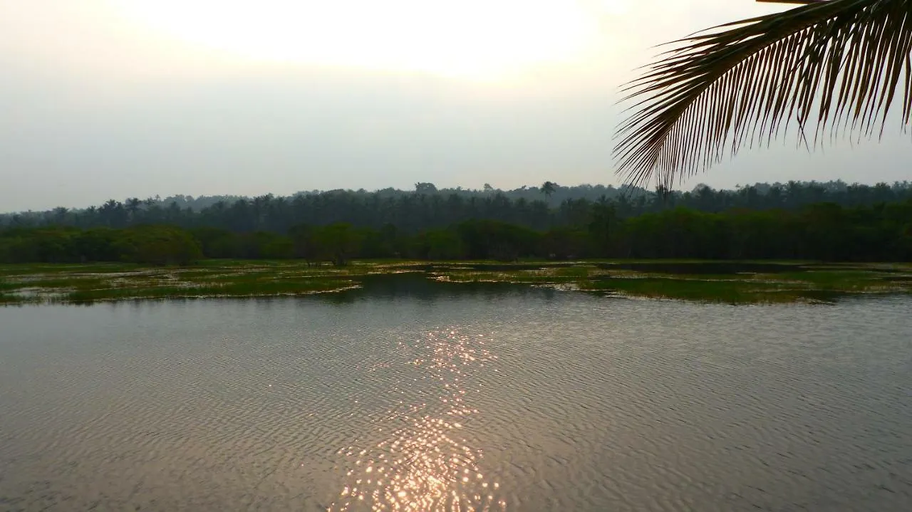 Homestay Ocean Green Kerala Kannur