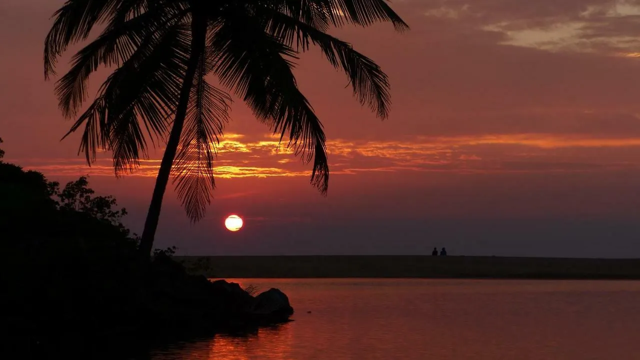 Ocean Green Kerala Kannur India